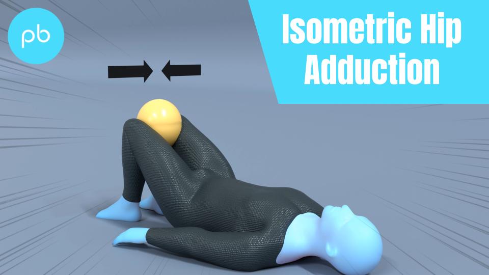 Isometric Hip Adduction